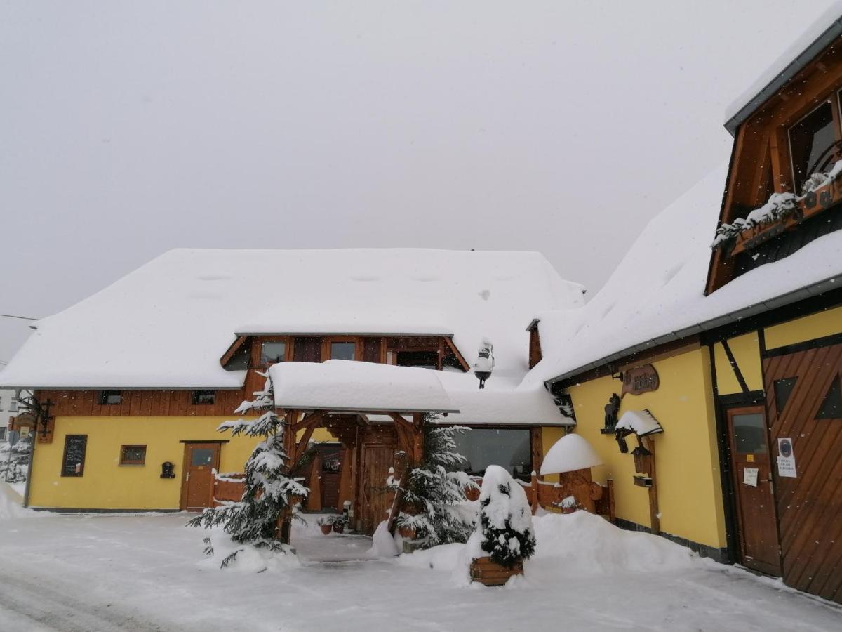 Hotel Landgasthof Plohnbachtal Ug Lengenfeld  Exteriér fotografie